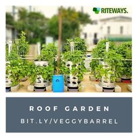 Roof Garden Container