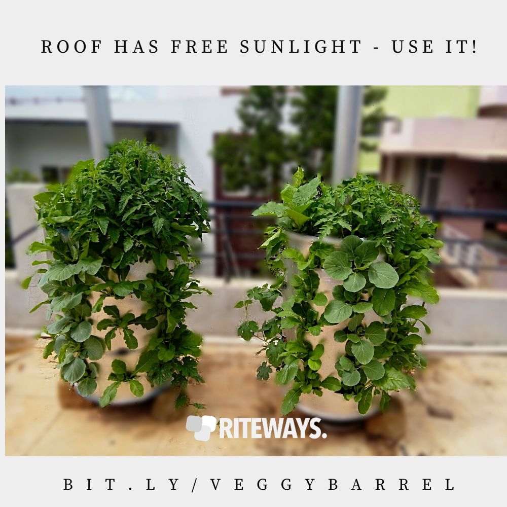 Roof Garden Container