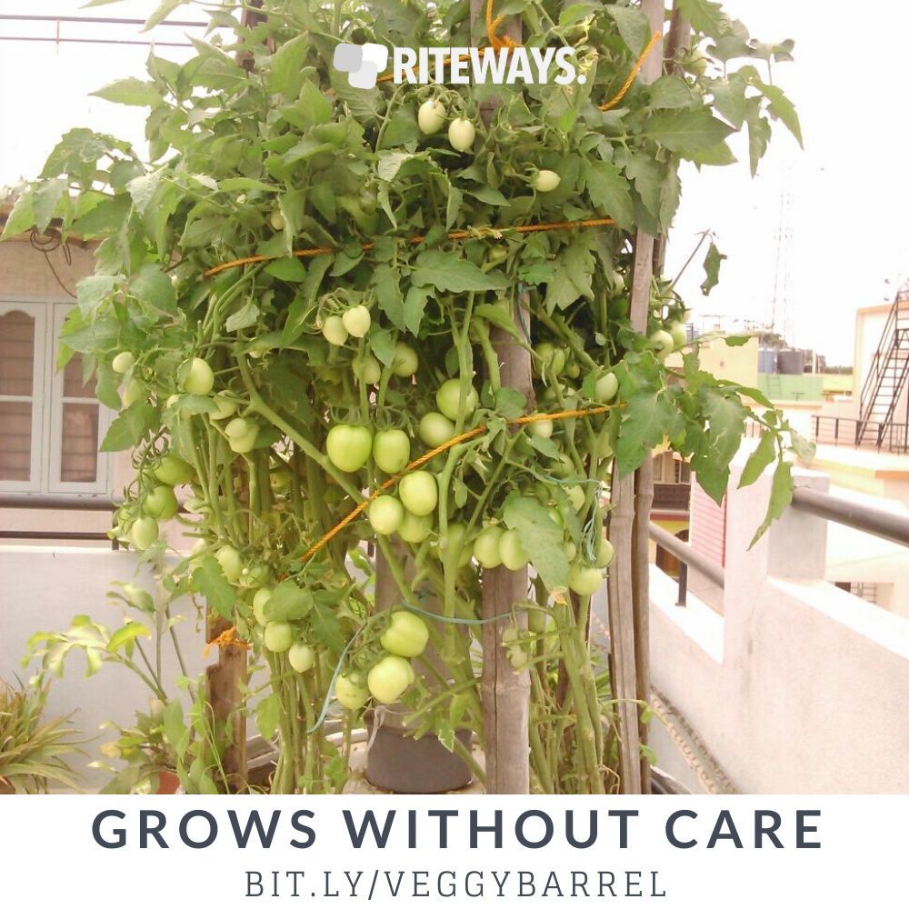 Roof Garden Container