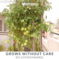 Roof Garden Container