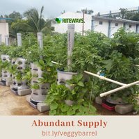 Roof Garden Container