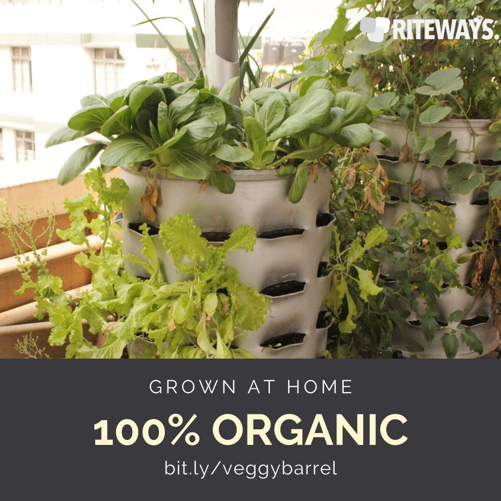 Roof Garden Container