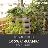 Roof Garden Container