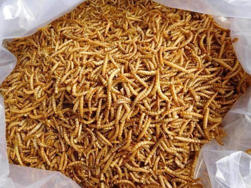 Microwave dried mealworms