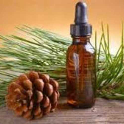 Pinewood oil By AROMATIC HERBALS PVT. LTD.