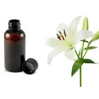White lily oil