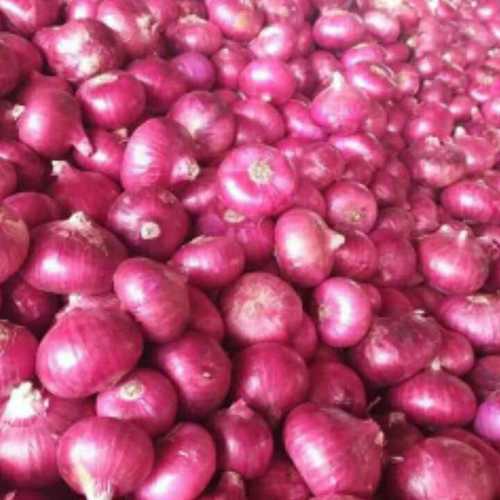 Red onion