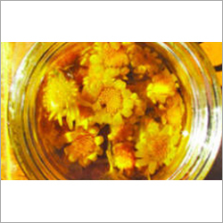 Arnica Oil Soluble Extract