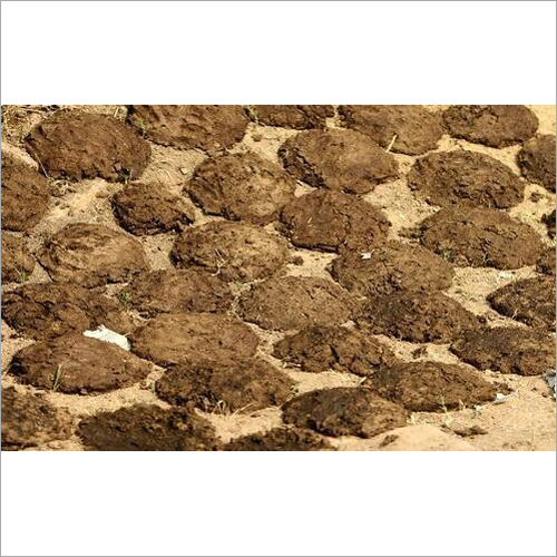 Dry Cow Dung