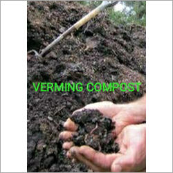 Vermicompost Bio Fertilizer