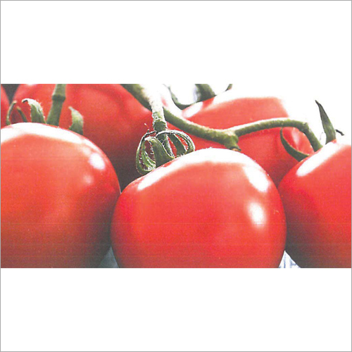 Tomato Flavour