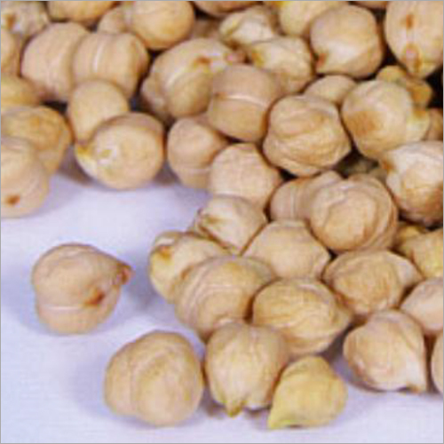 Kabuli Chickpeas