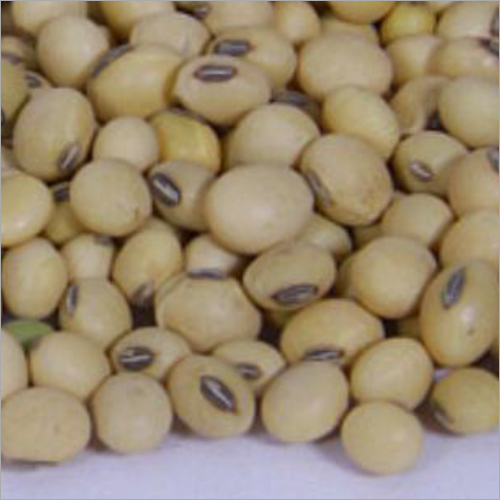 Fresh Soyabeen