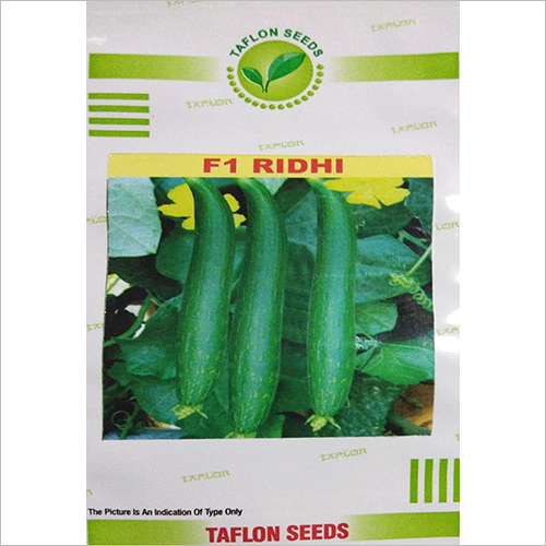 F1 Ridhi Ridged Gourd Seed Weight: 15 Kilograms (Kg)