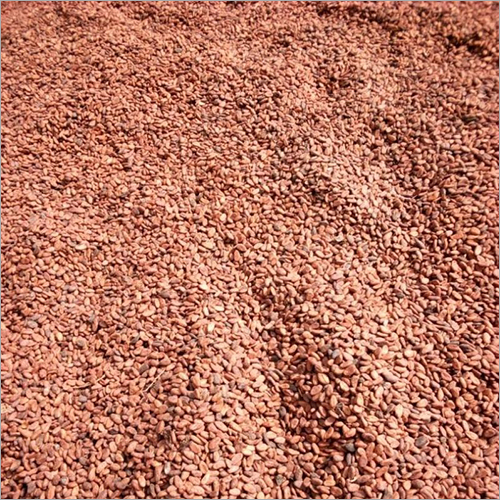 Dry Cocoa Bean