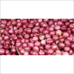 Red Onion