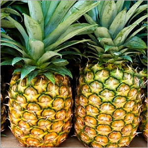Fresh Pineapple