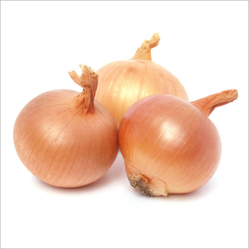 Fresh Onion