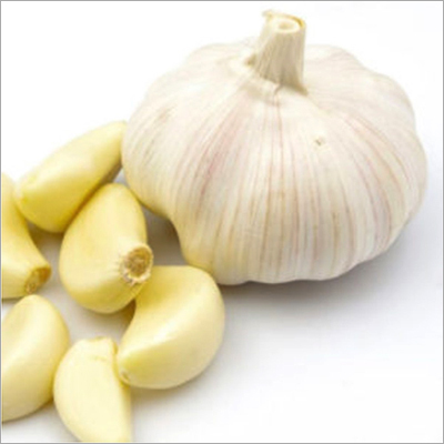 Fresh Garlic