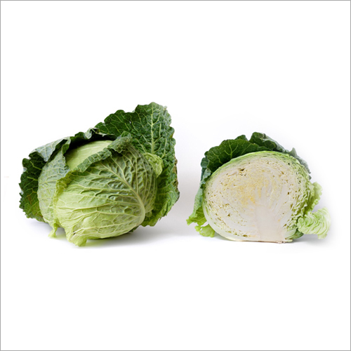 Fresh Cabbage