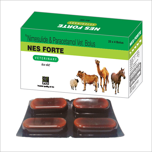 Nimesulide and Paracetamol Veterinary Bolus