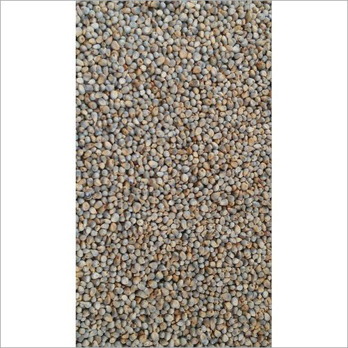 Yellow Millet Seed