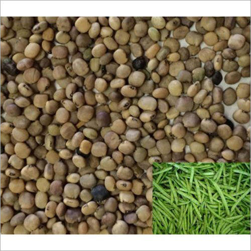 Organic Guar Seed