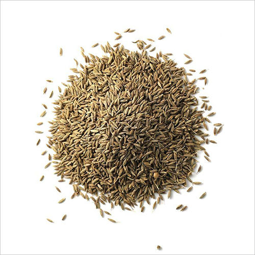 Organic Cumin Seeds