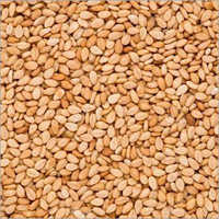 Sesame Seeds - Organic, 5-8% Moisture, Earthy Brown & Grayish Color | Hulled & Unhulled Oil Seeds With 1 Year Shelf Life