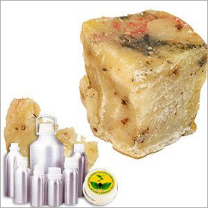 Elemi Oil Cas No: 8023-89-0