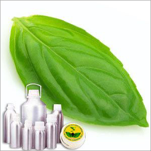 Certified Organic Basil Oil