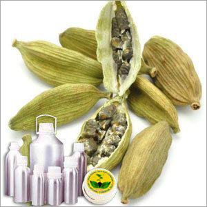 Certified Organic Cardamom Oil