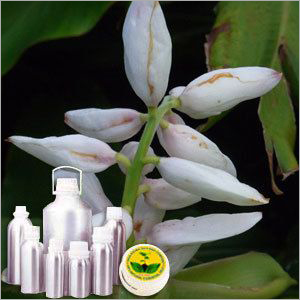Cardamom Therapeutic Grade Oil Cas No: 8000-66-6
