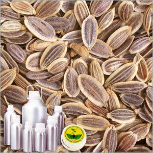Dill Seed Therapeutic Grade Oil Cas No: 8006-75-5