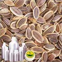 Dill Seed Therapeutic Grade Oil