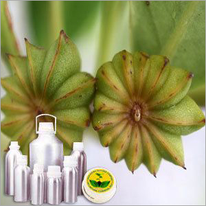 Wildcrafted Anise Seed Oil Cas No: 84775-42-8