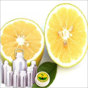 Wildcrafted Bergamot Oil