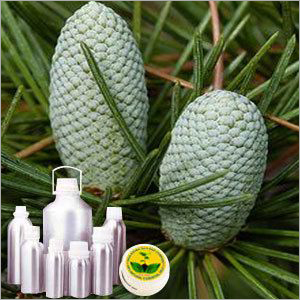 Wildcrafted Cedarwood Himalayan Oil