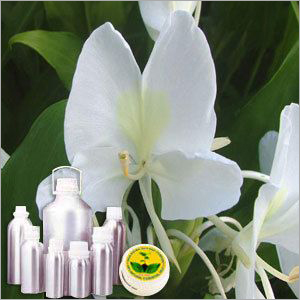 Hedychium Water