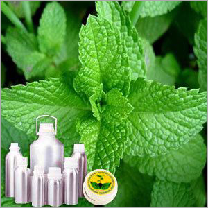 Crude Dementholised Oil - Herbal Extract from Leaves | Normal Temperature Storage, Versatile Uses
