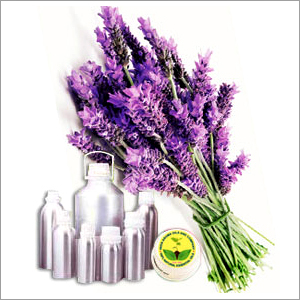 Body Spa And Massage Oils