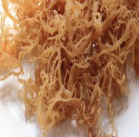 Best Grade Brazilian Dried  Sea  Moss