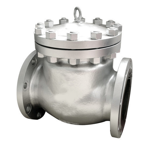 Check Valve - Color: Sliver