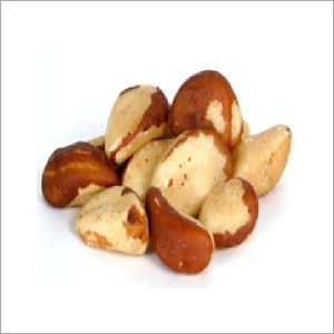 Brazil Nut