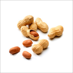 Whole Peanut