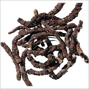 Dried Kutki Roots