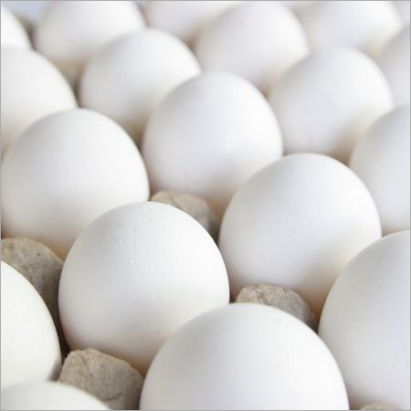 White Poultry Eggs Egg Origin: Chicken