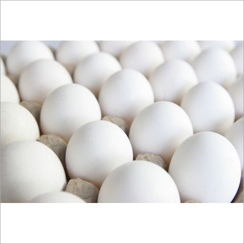 Fresh White Poultry Eggs