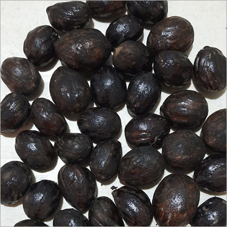 Castor Seeds