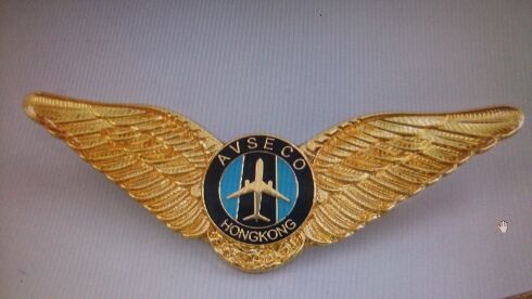 Pilot Wing Badge